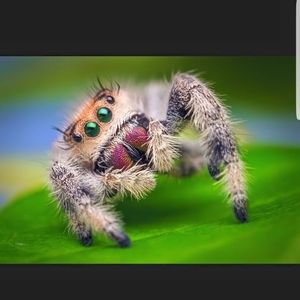 Meet your Posher, Eric